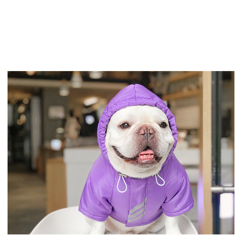 Pet Winter Clothes
